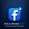 Facebook Fanpage Likes kaufen